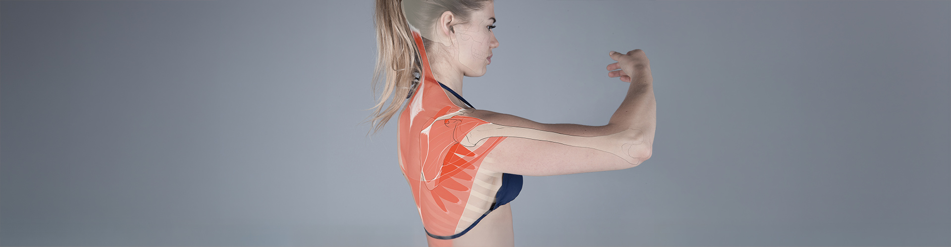 Therapie Schultern